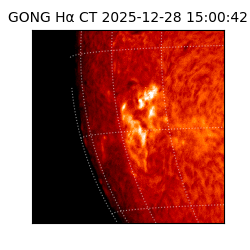 gong - 2025-12-28T15:00:42