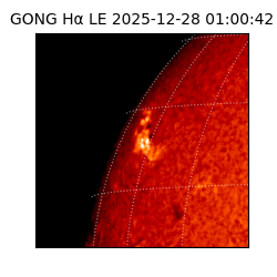 gong - 2025-12-28T01:00:42