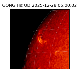 gong - 2025-12-28T05:00:02