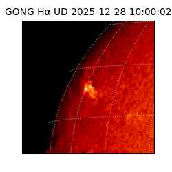 gong - 2025-12-28T10:00:02