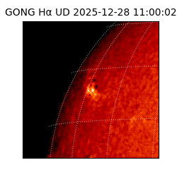 gong - 2025-12-28T11:00:02