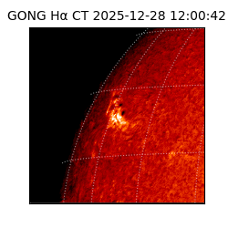 gong - 2025-12-28T12:00:42