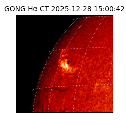 gong - 2025-12-28T15:00:42
