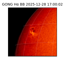 gong - 2025-12-28T17:00:02
