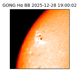 gong - 2025-12-28T19:00:02