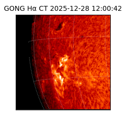 gong - 2025-12-28T12:00:42