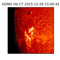 gong - 2025-12-28T15:00:42