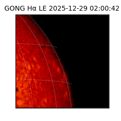 gong - 2025-12-29T02:00:42