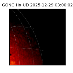 gong - 2025-12-29T03:00:02