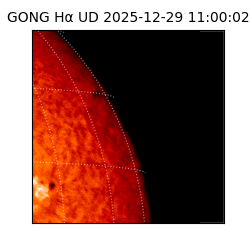 gong - 2025-12-29T11:00:02