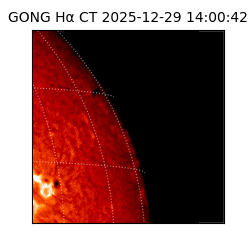 gong - 2025-12-29T14:00:42