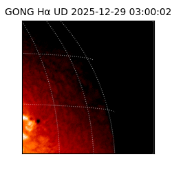 gong - 2025-12-29T03:00:02