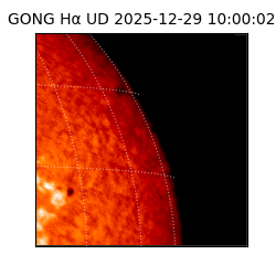 gong - 2025-12-29T10:00:02