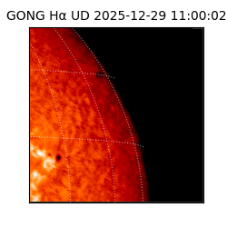 gong - 2025-12-29T11:00:02