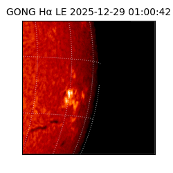 gong - 2025-12-29T01:00:42