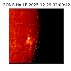 gong - 2025-12-29T02:00:42