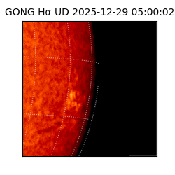 gong - 2025-12-29T05:00:02