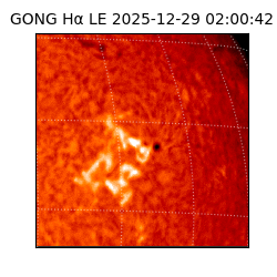 gong - 2025-12-29T02:00:42