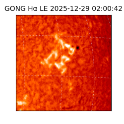 gong - 2025-12-29T02:00:42