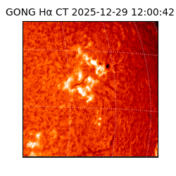 gong - 2025-12-29T12:00:42
