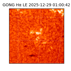 gong - 2025-12-29T01:00:42