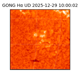 gong - 2025-12-29T10:00:02