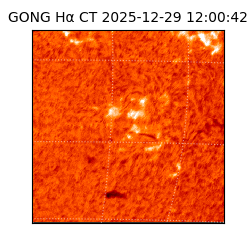 gong - 2025-12-29T12:00:42