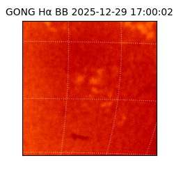 gong - 2025-12-29T17:00:02