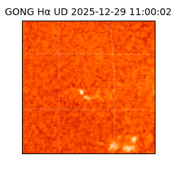 gong - 2025-12-29T11:00:02