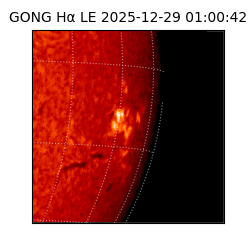 gong - 2025-12-29T01:00:42