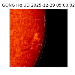gong - 2025-12-29T05:00:02