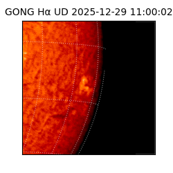 gong - 2025-12-29T11:00:02