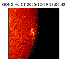 gong - 2025-12-29T13:00:42