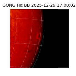 gong - 2025-12-29T17:00:02