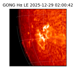 gong - 2025-12-29T02:00:42