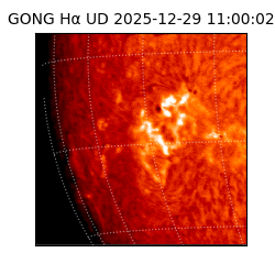 gong - 2025-12-29T11:00:02