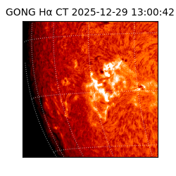 gong - 2025-12-29T13:00:42