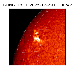 gong - 2025-12-29T01:00:42