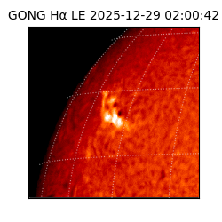 gong - 2025-12-29T02:00:42