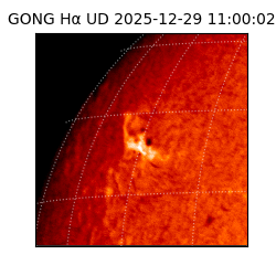 gong - 2025-12-29T11:00:02