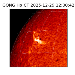 gong - 2025-12-29T12:00:42