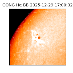 gong - 2025-12-29T17:00:02