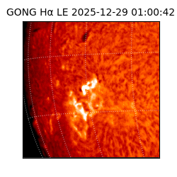 gong - 2025-12-29T01:00:42
