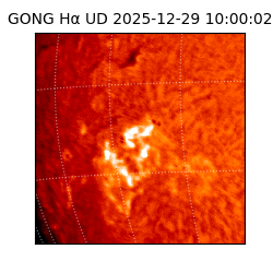 gong - 2025-12-29T10:00:02