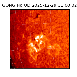 gong - 2025-12-29T11:00:02