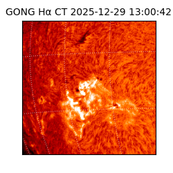 gong - 2025-12-29T13:00:42
