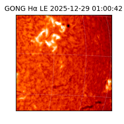 gong - 2025-12-29T01:00:42