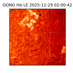 gong - 2025-12-29T02:00:42