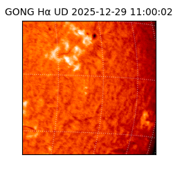 gong - 2025-12-29T11:00:02