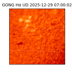 gong - 2025-12-29T07:00:02